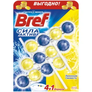 bref 4729 1.webp