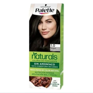 palette 16738 1.webp